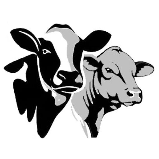 International Cattle Solutions