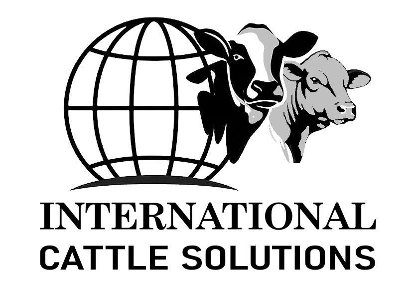 International Cattle Solutions